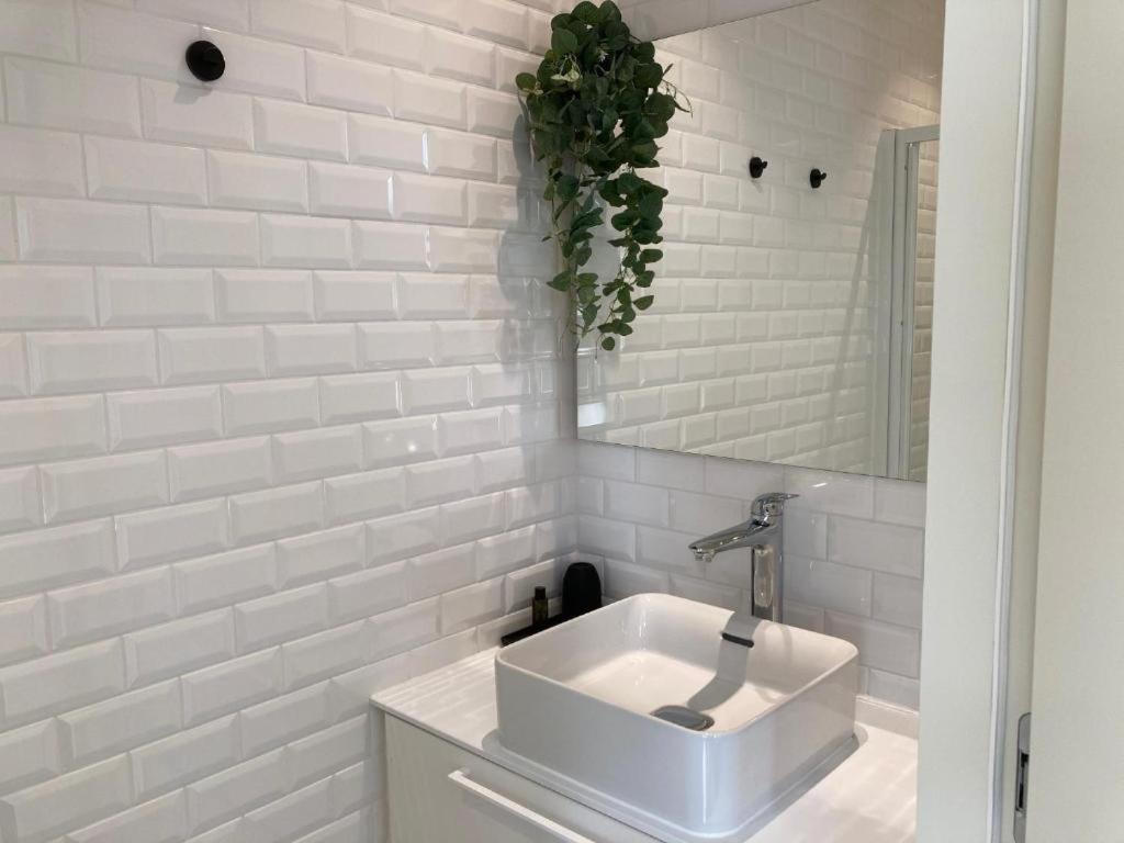 Borgerhouse B&B Antwerpen Ngoại thất bức ảnh